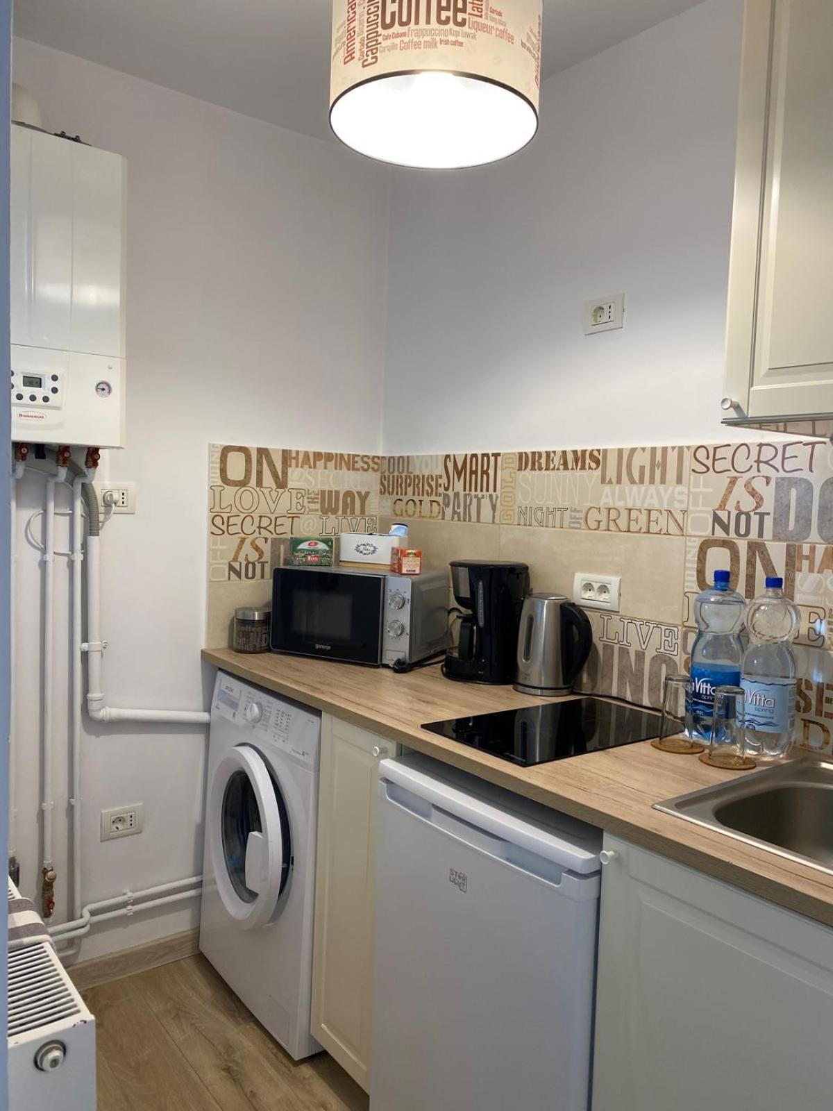 Take Pro Timisoara Apartment Екстер'єр фото